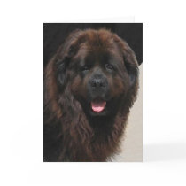 The Linderhof Newfie cards by WiscMeBrit The Linderhof Newfie cards
