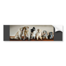The line up bumper sticker
