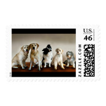 The line up postage stamp