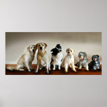 The Line Up Print