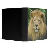The Lion Binder