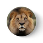 The Lion buttons