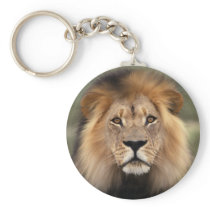 The Lion keychains by ironydesign The Lion keychains