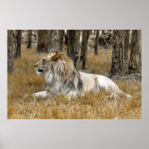 The Lion King Poster