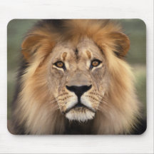 The Lion Mouse Pads