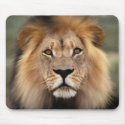 The Lion mousepads
