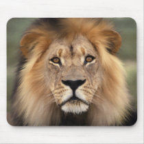 The Lion mousepads by ironydesign The Lion mousepads