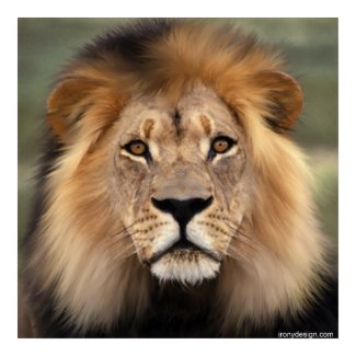 The Lion print