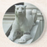 The Lioness Coaster coasters