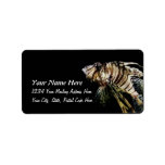 The Lionfish labels