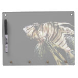 The Lionfish dry erase boards