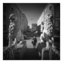 The lions photo art