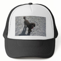 The Little Black Poodle Trucker Hat