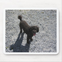 The Little Black Poodle Mouse Pads