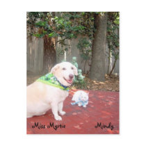 The Little Cat postcards by myrtieshuman The Little Cat postcards