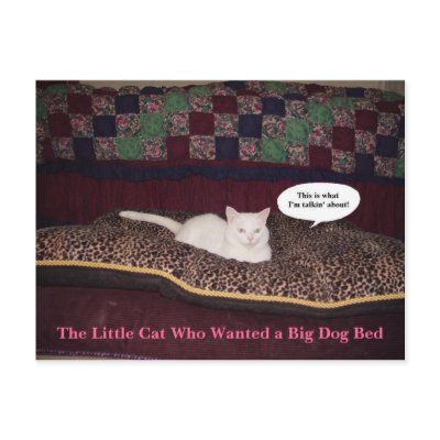 The Little Cat Who Wanted a Big Dog Bed Post Card by myrtieshuman