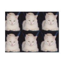 The Little Cat Who Wanted to be a Big Dog postcards by myrtieshuman The Little Cat Who Wanted to be a Big Dog postcards