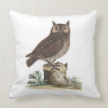 The Little Owl from Antique Print by Catesby pillows