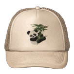panda bear, panda bears, bears, animals, wiildlife, bamboo tree, leaves, bamboo, cute, playful