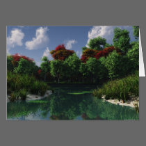 The Little Pond