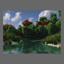 The Little Pond
