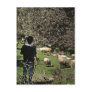 The Little Shepherd Post Card