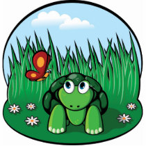 The Little Turtle Photo Sculpture photo sculptures