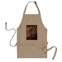 The Little Witch Aprons