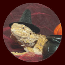 The Littlest Witch stickers
