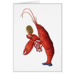 The Lobster Quadrille Greeting Card