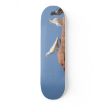 The lone pigeon skateboards