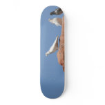 The lone pigeon custom skate board