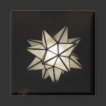The Lone Star magnets