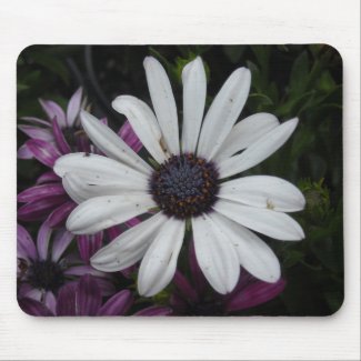 The Lone White Daisy Mousepad