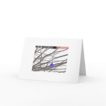 The Lonely Bauble cards by hjsb The Lonely Bauble cards
