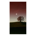 The lonely tree and the pale moon posters by visionaryplaces The lonely tree and the pale moon posters