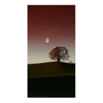 The lonely tree and the pale moon posters