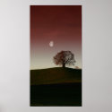 The lonely tree and the pale moon posters