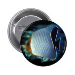 The Loner-Butterfly Fish Pinback Buttons