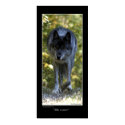 "The Loner" Grey Wolf Poster posters by WILDERNESS_SHOP "The Loner" Grey Wolf Poster posters