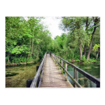The Long Bridge Postcard