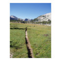 The Long Trail posters