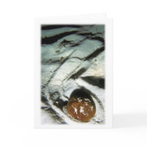 The Long Walk cards