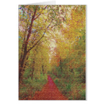 The Long Walk. Cards