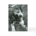 The Look cards