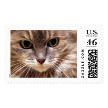 The Look postage by Lots_Of_Kissesl The Look postage