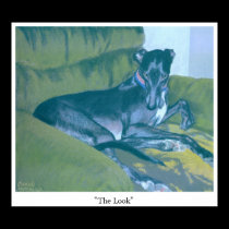 The Look posters by carolmotsinger The Look posters