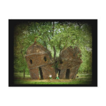 The Lookout Tree Post Card