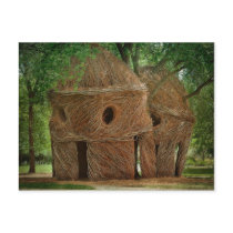 ..:The Lookout Tree:.. Postcards