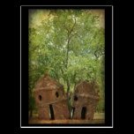 .::The Lookout Tree::. postcards